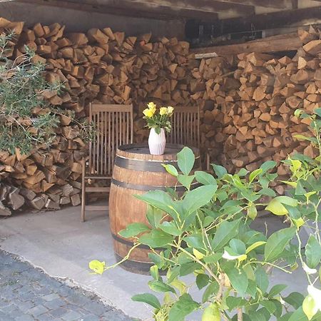 Gaestehaus Ringhof Florsheim-Dalsheim Exteriör bild