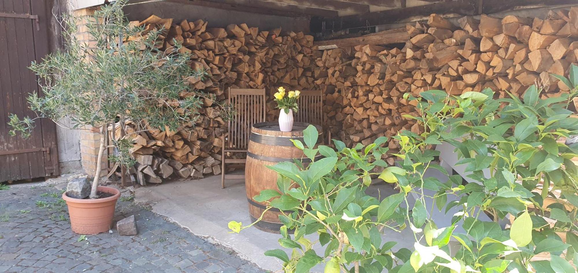 Gaestehaus Ringhof Florsheim-Dalsheim Exteriör bild